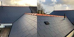 New roof